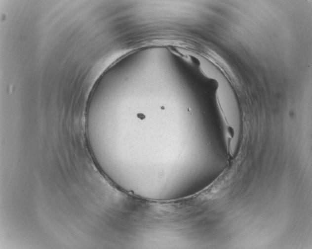 X0000088620852200706151850