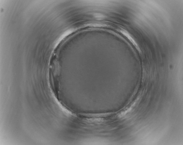 X0000088620853200706151850