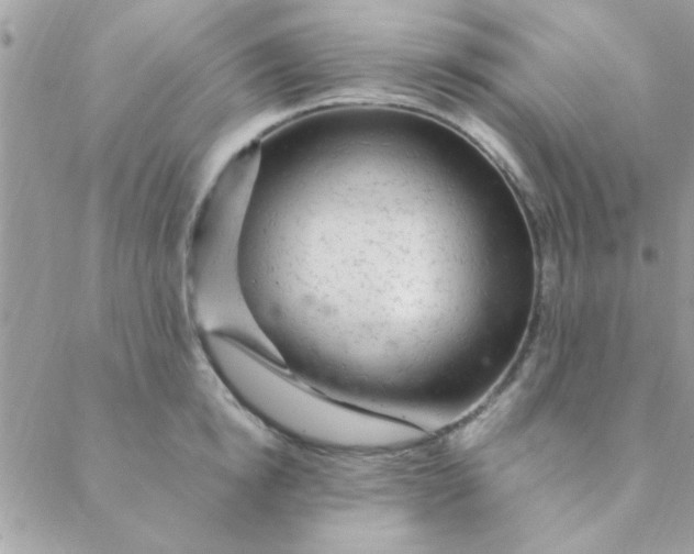 X0000088620854200706151850