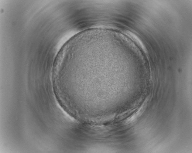 X0000088620855200706151850