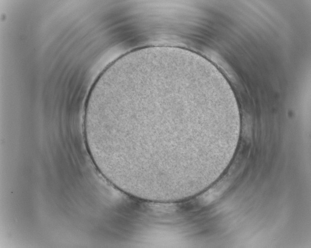 X0000088620856200706151850