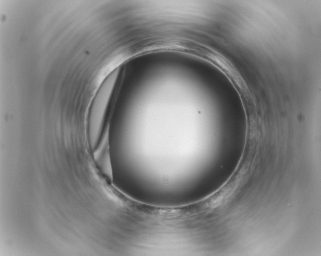 X0000088620858200706151850