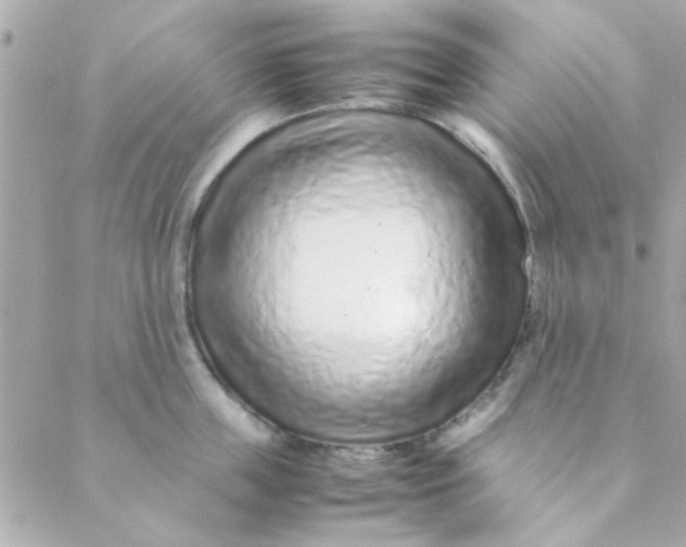 X0000088620859200706151850