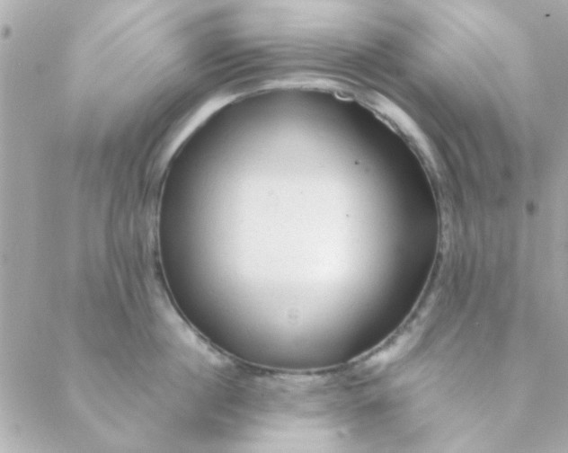 X0000088620860200706151850