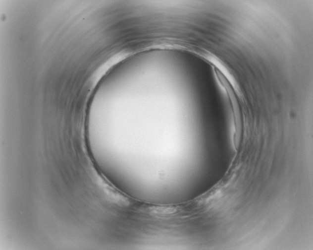 X0000088620861200706151850