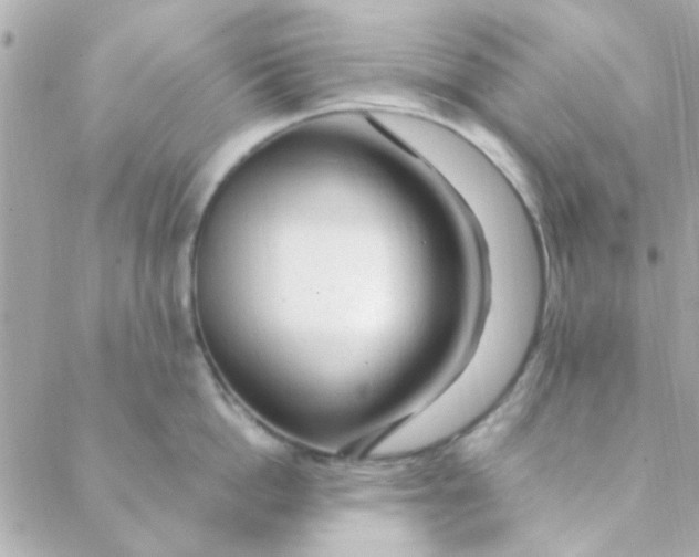 X0000088620862200706151850