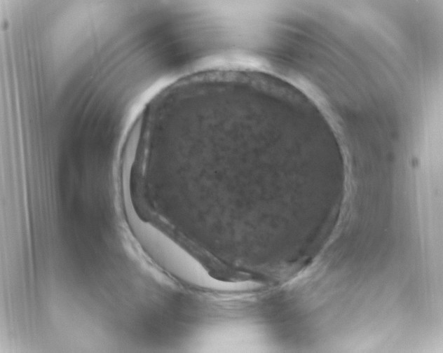 X0000088620864200706151850