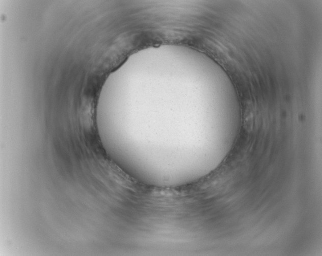 X0000088620866200706151850