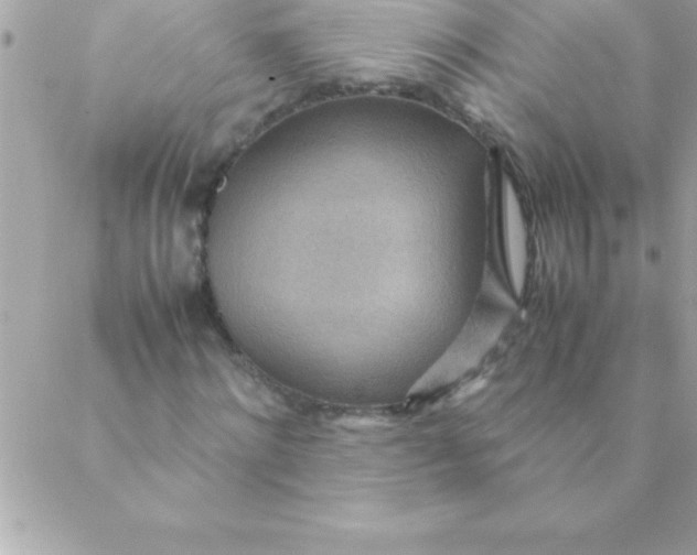 X0000088620868200706151850