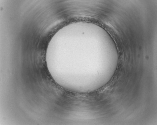 X0000088620870200706151850