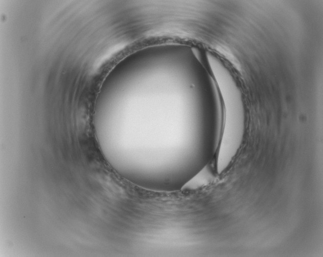 X0000088620872200706151849