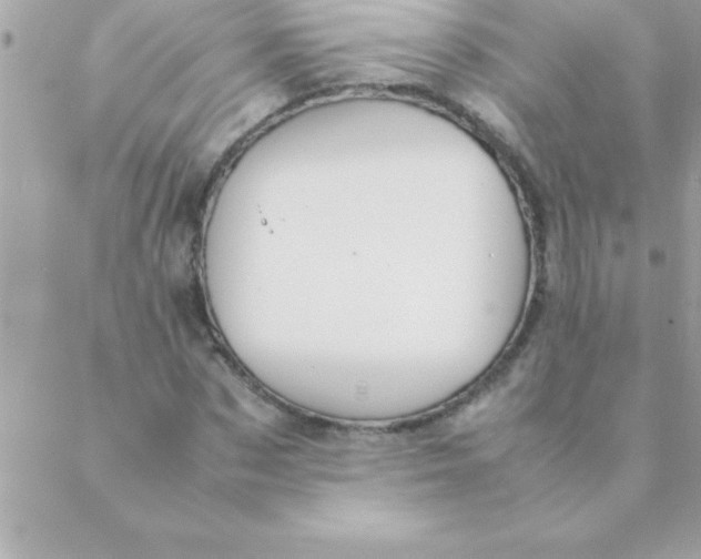 X0000088620873200706151849