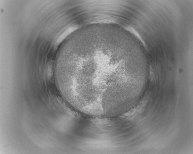 X0000088620874200706151849