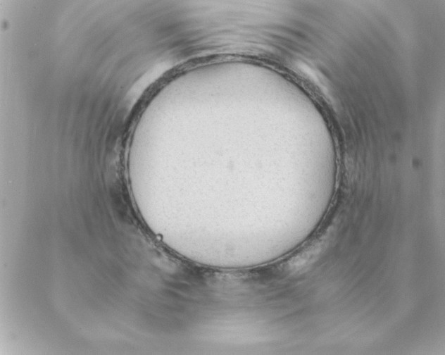 X0000088620875200706151849