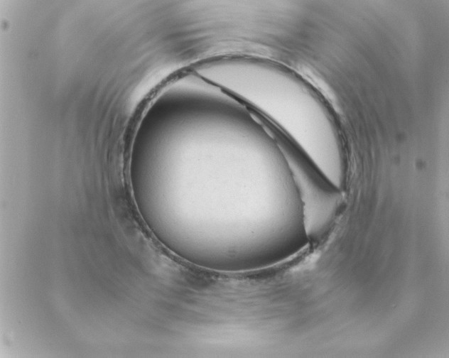 X0000088620877200706151849