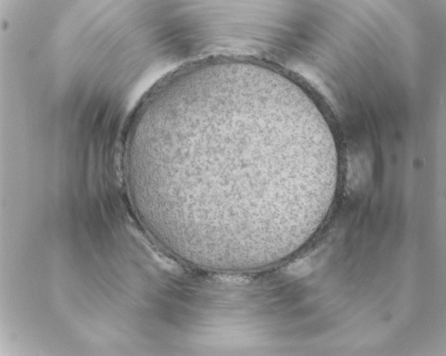 X0000088620878200706151849