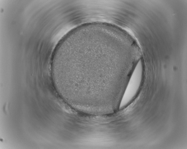 X0000088620879200706151849