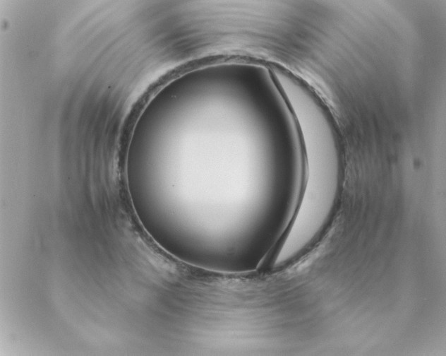 X0000088620880200706151849