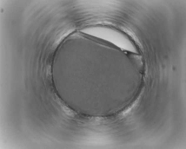 X0000088620881200706151849