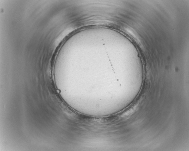 X0000088620883200706151849