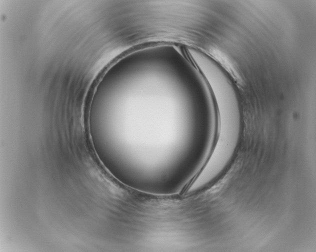 X0000088620884200706151849