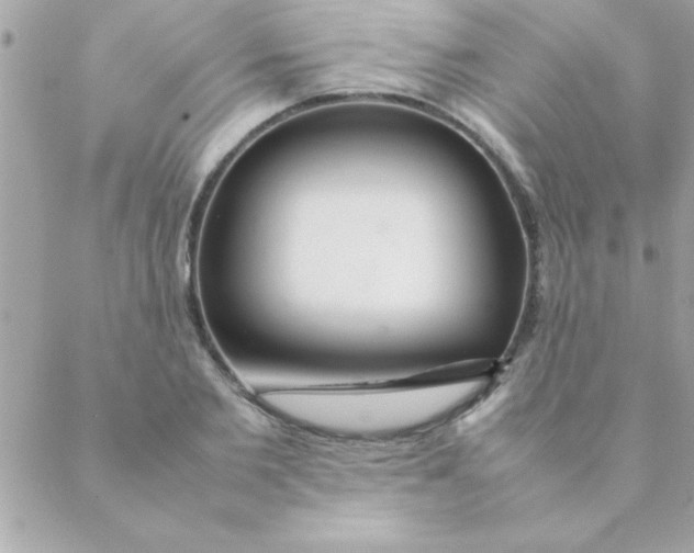 X0000088620885200706151849