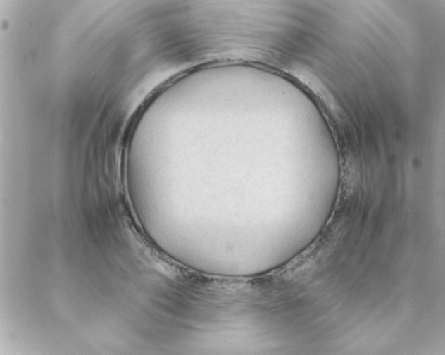 X0000088620886200706151849