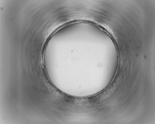 X0000088620887200706151849