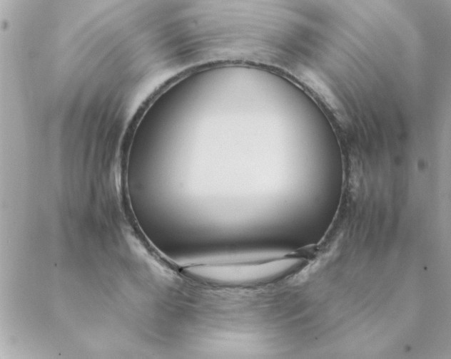 X0000088620888200706151849