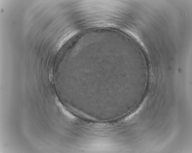 X0000088620889200706151849