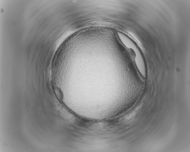 X0000088620891200706151849