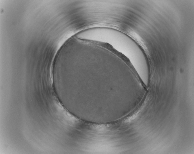 X0000088620892200706151849