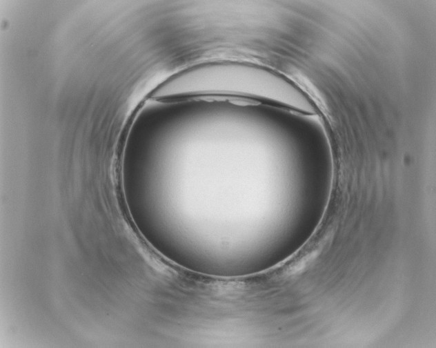 X0000088620893200706151849