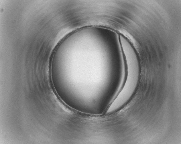 X0000088620894200706151849