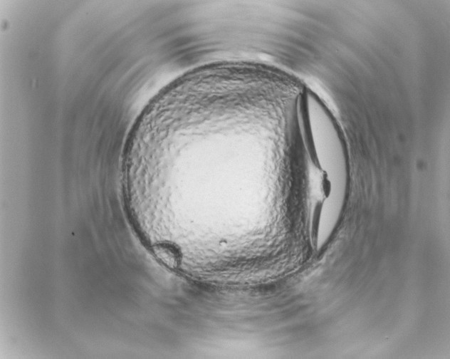 X0000088620895200706151849