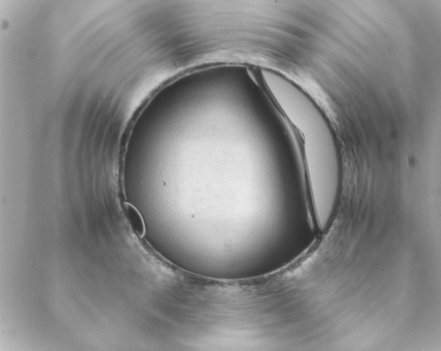 X0000088620896200706151849