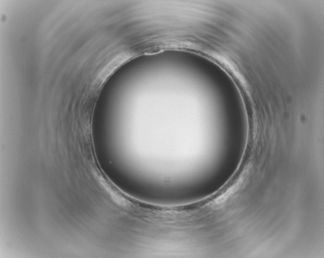 X0000088620897200706151849