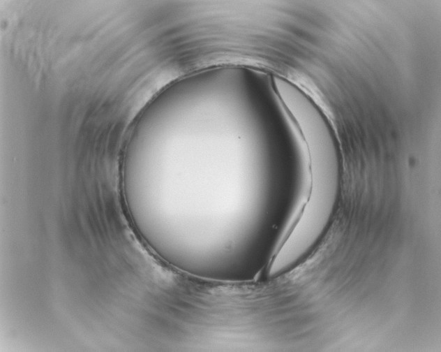 X0000088620898200706151849