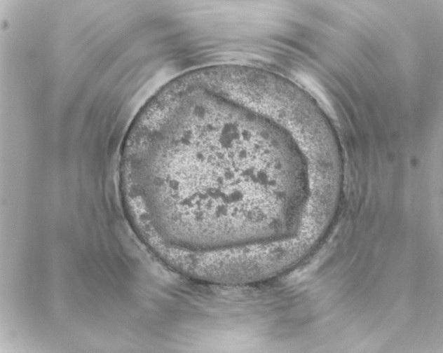 X0000088620899200706151849