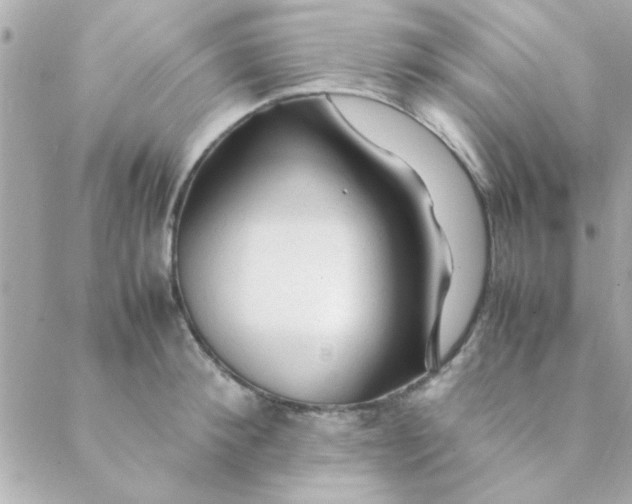 X0000088620900200706151849