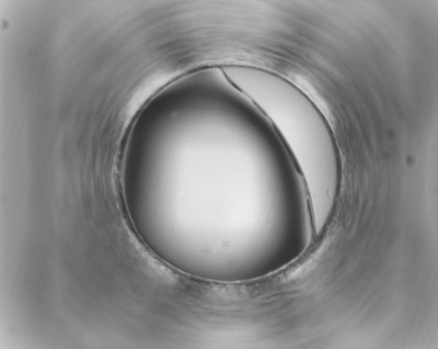 X0000088620901200706151849