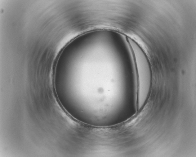 X0000088620902200706151849