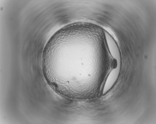 X0000088620903200706151849