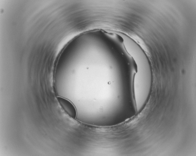 X0000088620904200706151849