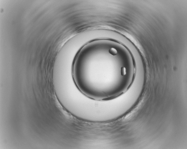 X0000088620905200706151849