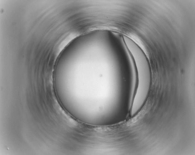 X0000088620906200706151849