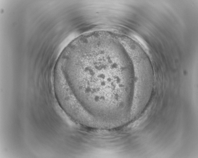 X0000088620907200706151849