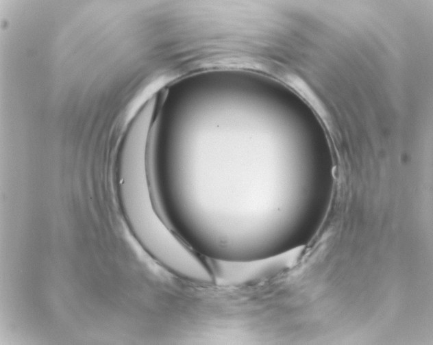 X0000088620909200706151849