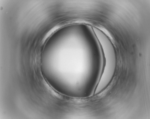 X0000088620910200706151849