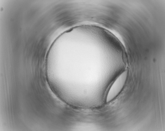 X0000088620911200706151849